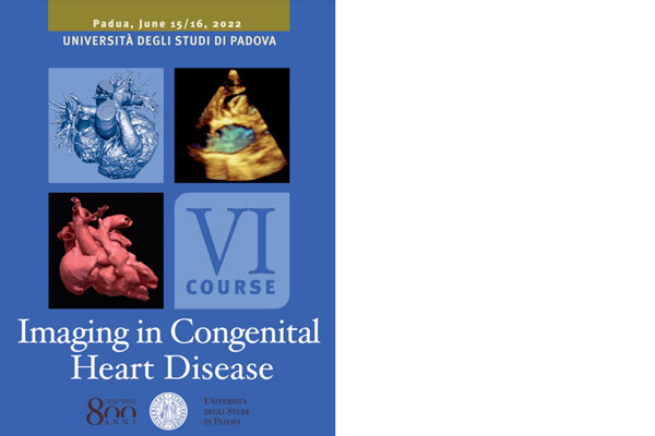 Imaging In Congenital Heart Disease Webpagina